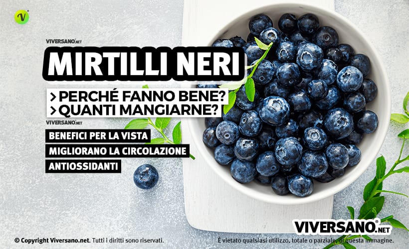 Mirtillo & Benessere Succo di Mirtillo Nero Selvatico