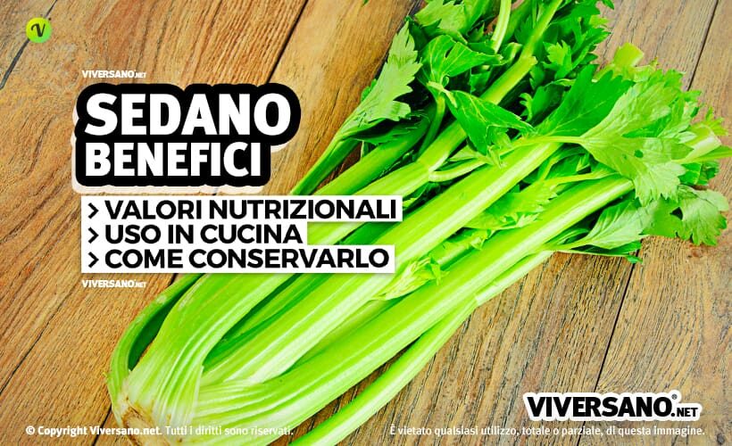 Sedano crudo sopra un tavolo di legno