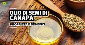 Olio di semi di canapa sfuso in contenitore di vetro