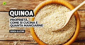 Chicchi di quinoa in una ciotola