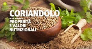 Immagine con semi di coriandolo interi e in polvere