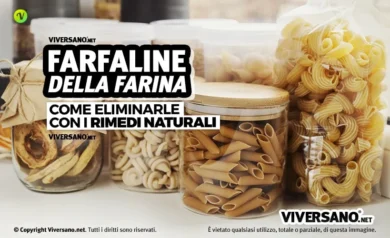 Eliminare le tarme della farina