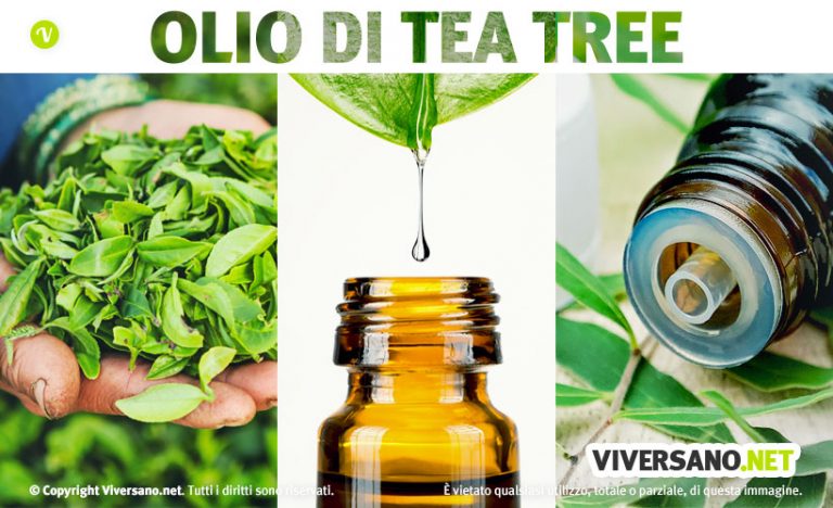 Olio essenziale di citronella: proprietà, usi in casa e aromaterapia