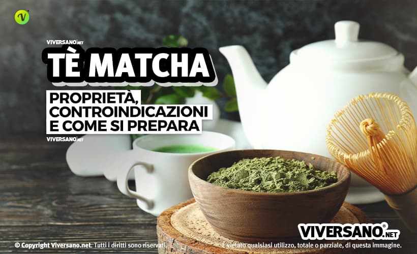 Matcha: proprietà, utilizzo e benefici