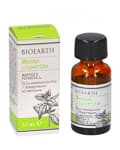 Olio Essenziale Menta bio