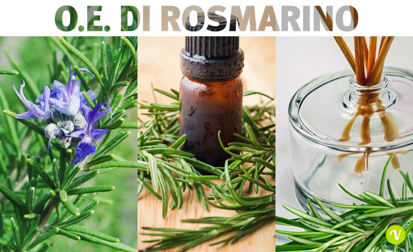 10 benefici dell'olio essenziale di rosmarino: i più potenti 