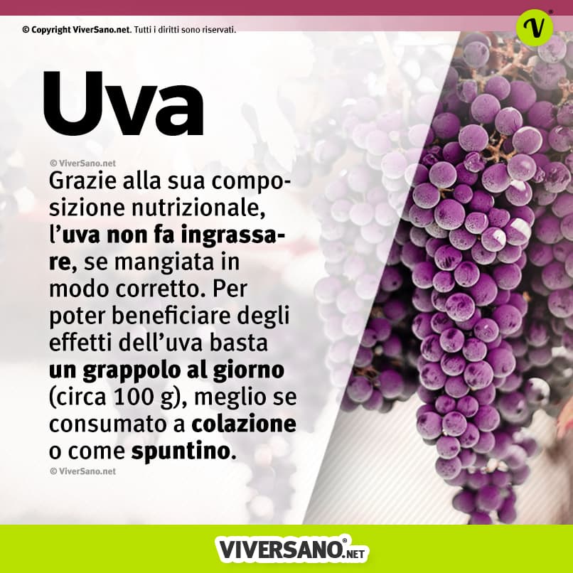 Infografica: uva e curiosita sui benefici