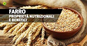 Chicci di farro sfuso in una ciotola