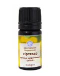 Olio essenziale di cipresso in confezione da 5 ml della marca Remedia Olio essenziale di cipresso da 5 ml