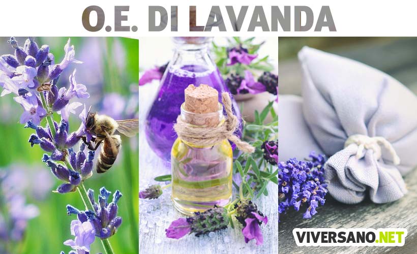 Olio essenziale di lavanda: proprietà, usi in aromaterapia e dove si compra