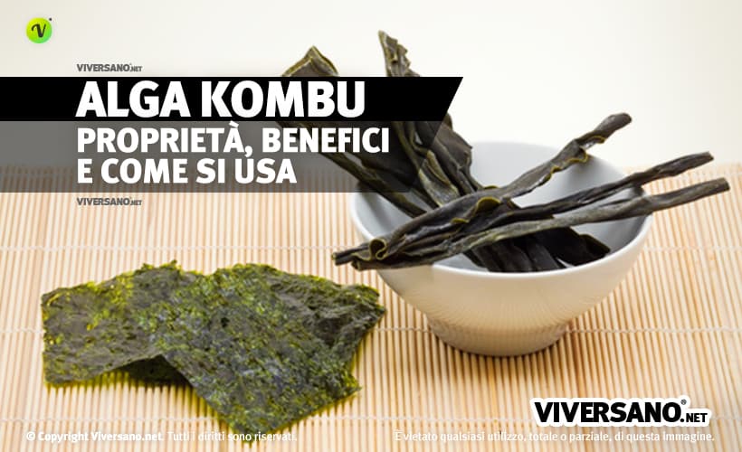 Alga Kombu: proprietà, uso, controindicazioni e dove si compra