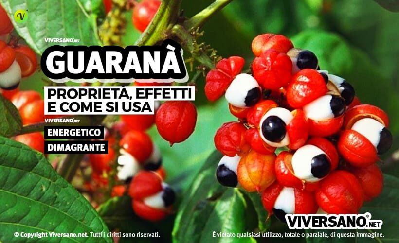 Caffè verde - Proprietà, controindicazioni, dove si compra 