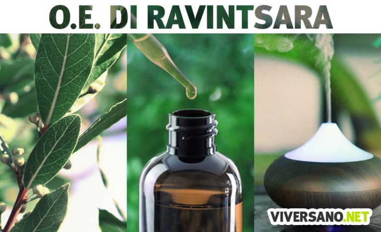 Olio essenziale di citronella: proprietà, usi in casa e aromaterapia