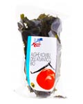 alga kombu