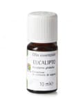 olio di eucalipto
