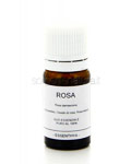 Olio essenziale di rosa