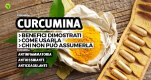 Immagine con integratori e polvere di curcuma