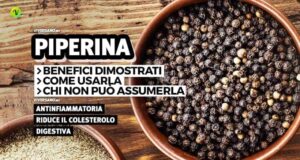Pepe nero contenente piperina in un contenitore