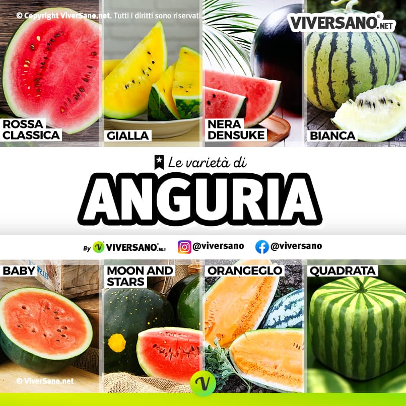 Immagine che rappresenta 8 tipologie di anguria