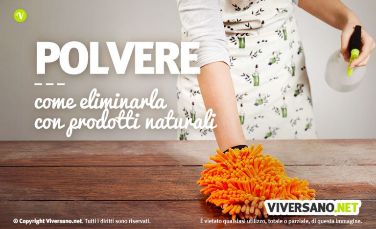 Come Eliminare I Gechi Dentro Casa