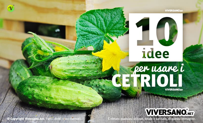 Ricette con i cetrioli: ecco 10 idee per usare i cetrioli in cucina