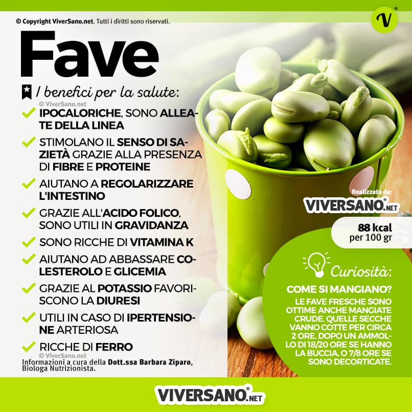 Infografica sui benefici delle Fave