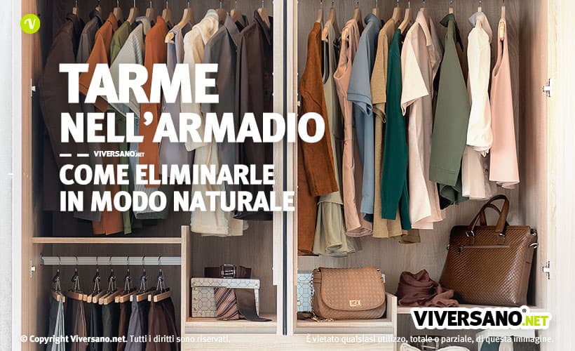 Come eliminare le tarme dai vestiti e dagli armadi con rimedi naturali