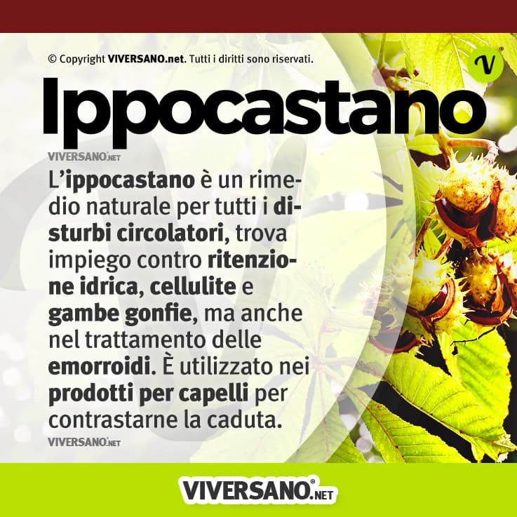 Infografica sulle proprietà dell'ippocastano