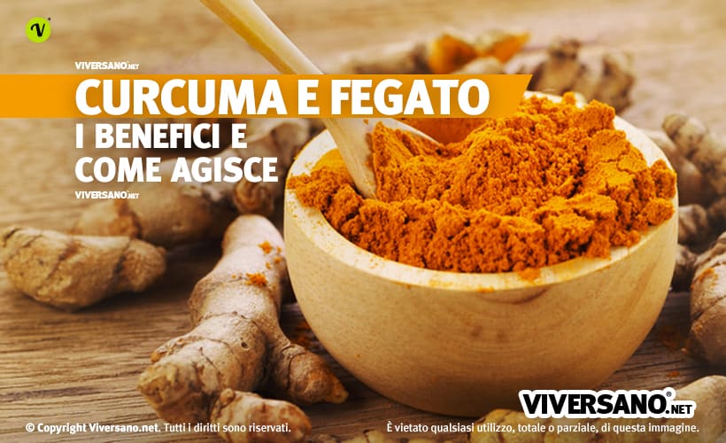 Radice e polvere di curcuma in un contenitore