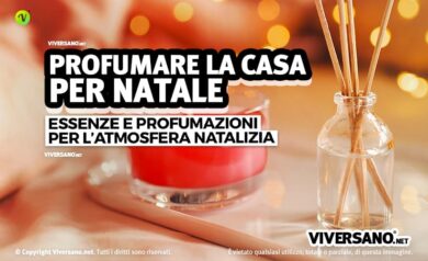 Essenze natalizie miste