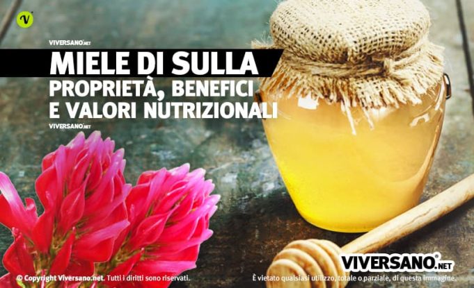 Miele di Sulla: proprietà, controindicazioni e dove comprarlo