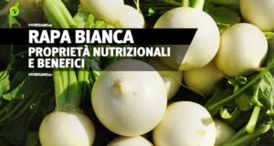 Rapa bianca sfusa