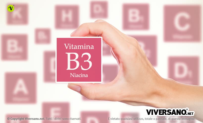 Niacina: a cosa serve, carenza e dove si trova la vitamina B3