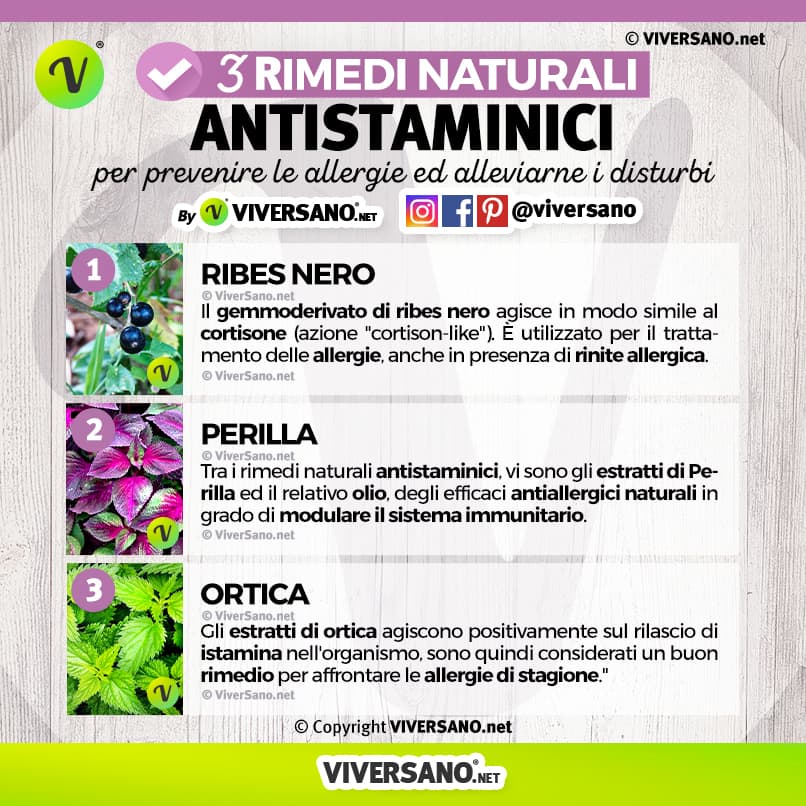 Infografica: 3 antistaminici naturali
