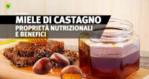 Miele di castagno e castagne sopra un tavolo