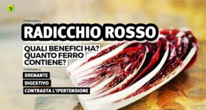 Radicchio rosso sopra un tavolo