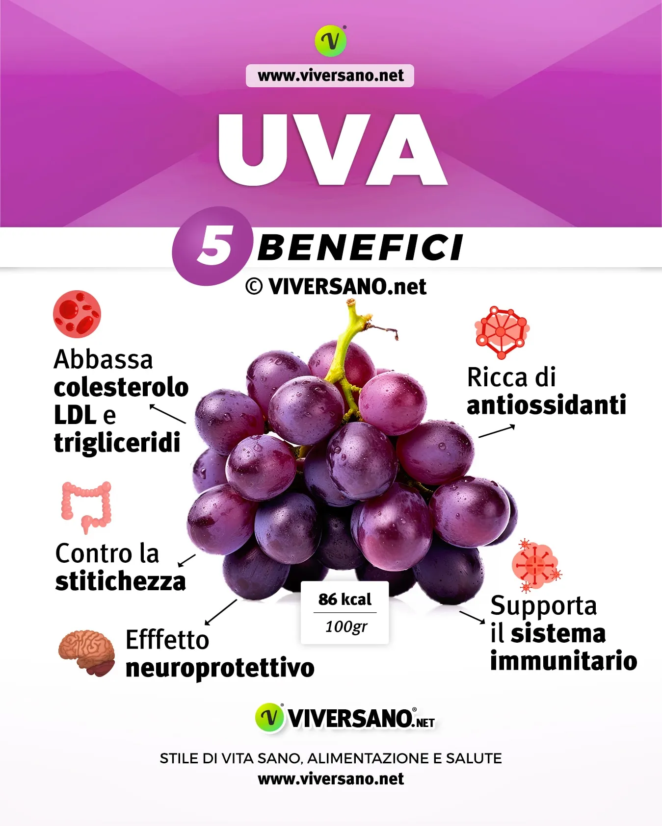 Infografica su 5 benefici dell uva