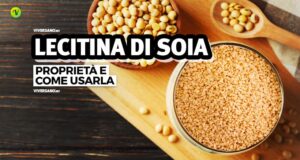 Lecitina di soia in granuli