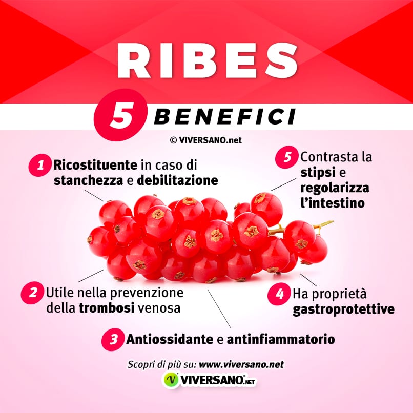 Infografica su 5 benefici del ribes