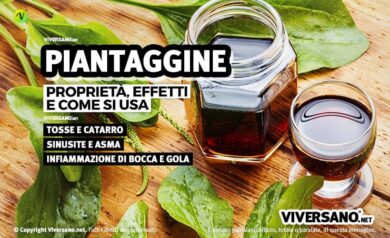 Foglie e sciroppo di piantaggine