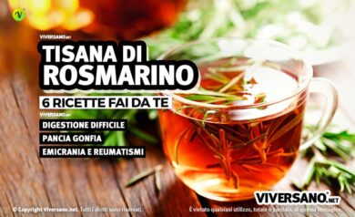 Tazza di tisana al rosmarino