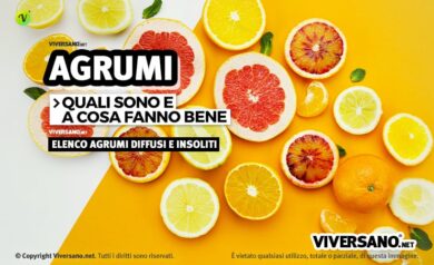 Agrumi misti sopra un tavolo