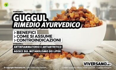 Guggul resina essiccata sopra un tavolo