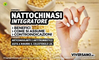 Integratore di nattochinasi