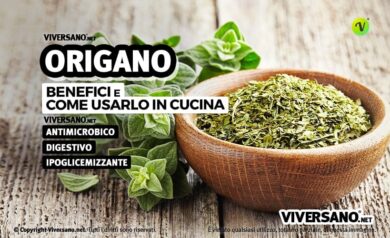 Origano fresco e secco sopra un tavolo