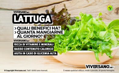 Lattuga verde dentro un piatto