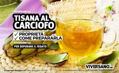 Tisana al carciofo ricetta e modo di utilizzo
