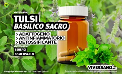 Tulsi integratore effetti benefici