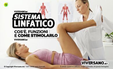 a cosa serve il sistema linfatico