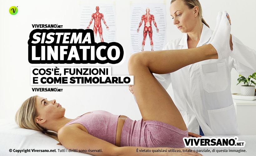 a cosa serve il sistema linfatico